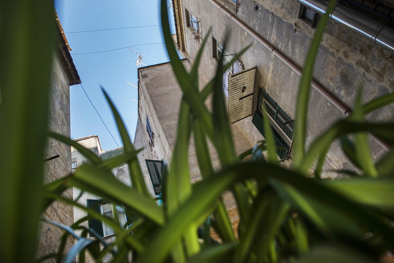 Obelus Bed & Breakfast Rome Exterior photo